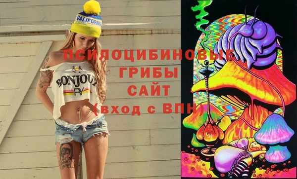 дживик Михайлов