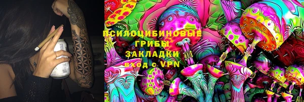 гашик Михайловка