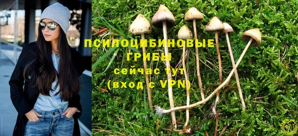 гашик Михайловка