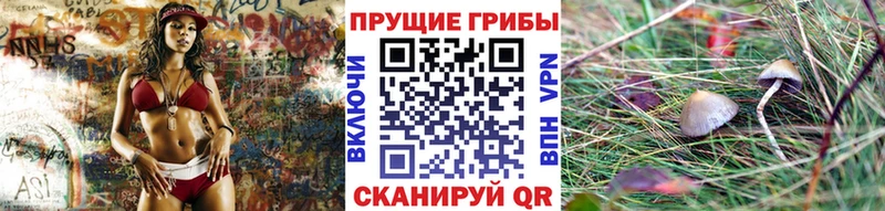 Галлюциногенные грибы GOLDEN TEACHER  Купить закладки  Сибай 